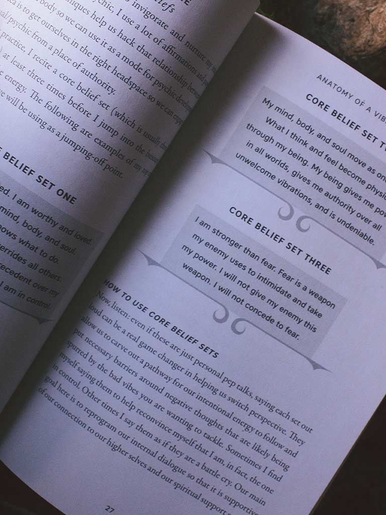 The Bad Vibes Field Guide - A Definitive Handbook for Psychics and the Afflicted