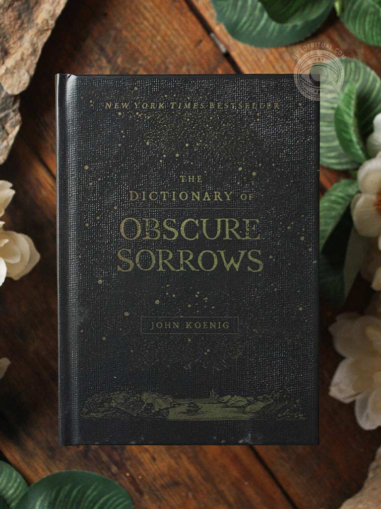 The Dictionary of Obscure Sorrows