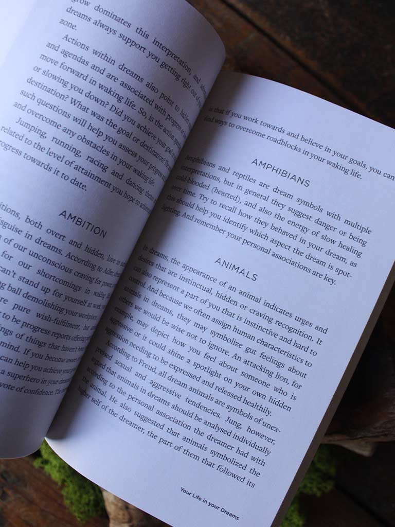 The Dream Cure - How Recalling Your Dreams Can Heal Your Life