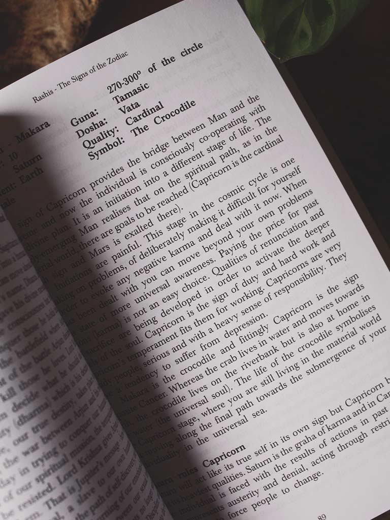 The Essentials of Vedic Astrology