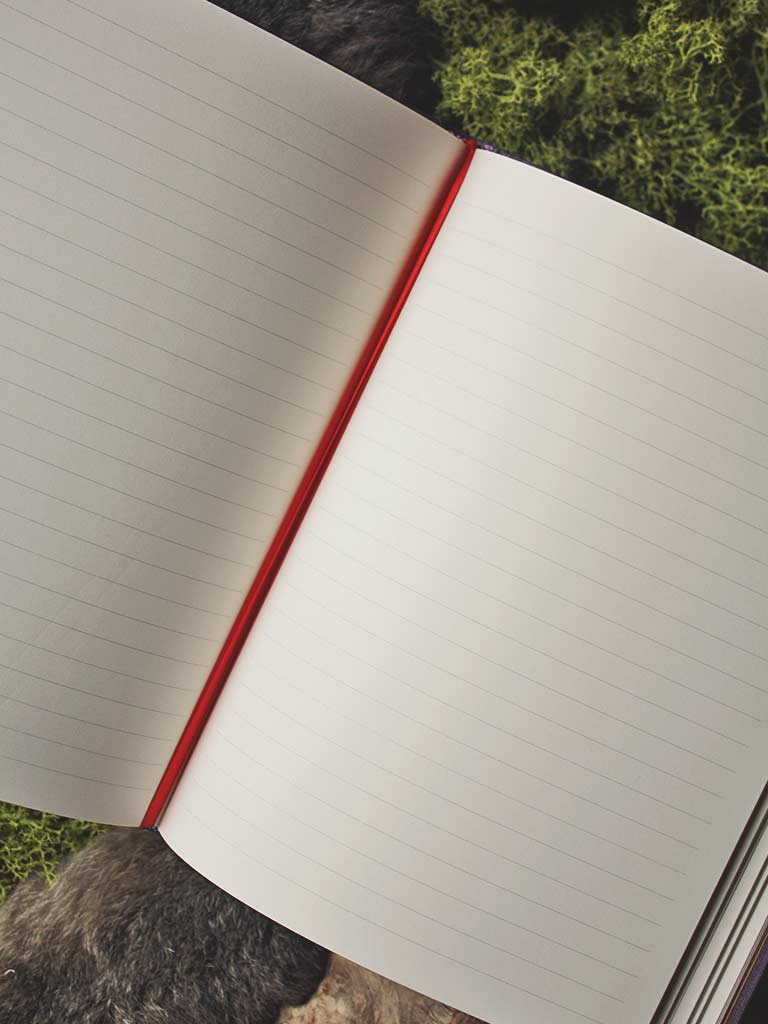 The Faery Grove Notebook