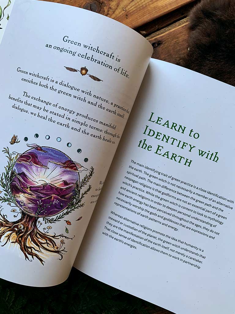 The Green Witch Illustrated - An Enchanting Immersion Into the Magic of Natural Witchcraft