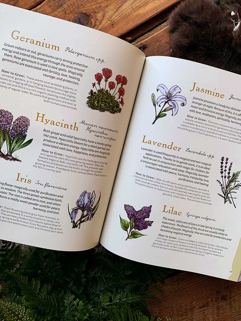 The Green Witch Illustrated - An Enchanting Immersion Into the Magic of Natural Witchcraft