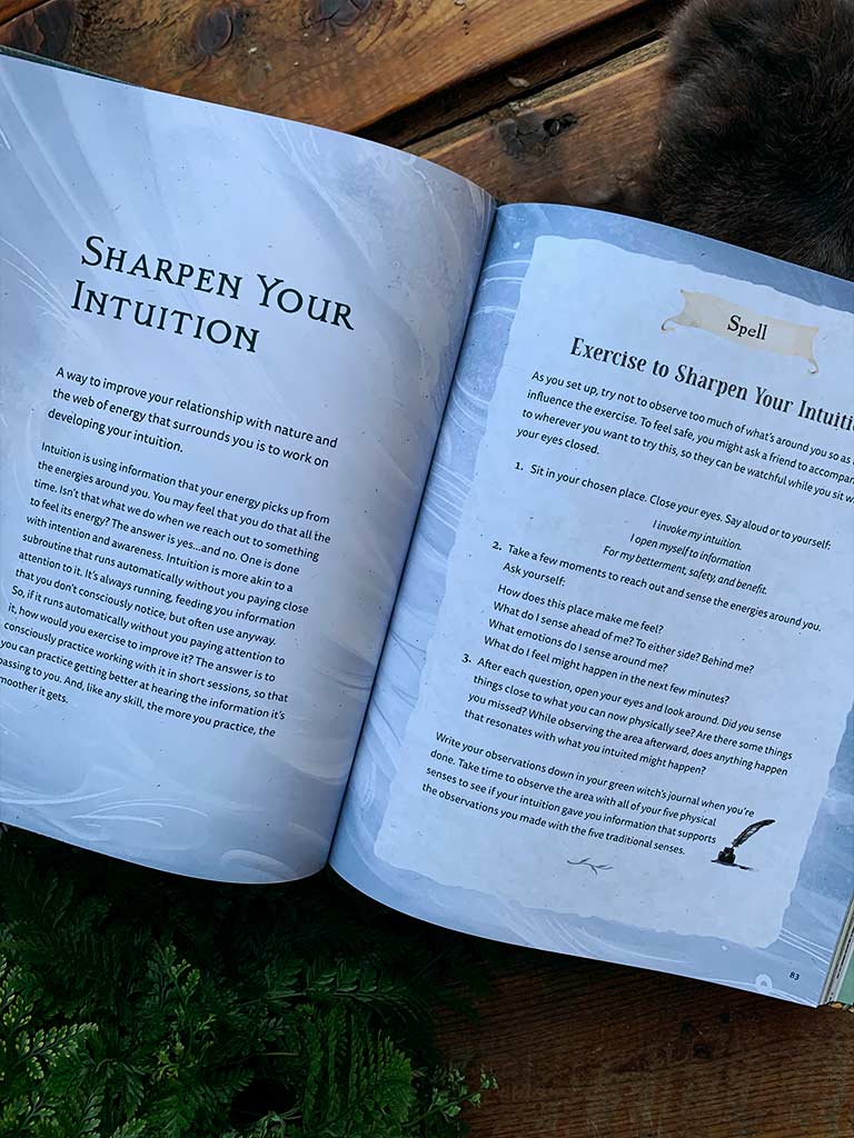 The Green Witch Illustrated - An Enchanting Immersion Into the Magic of Natural Witchcraft