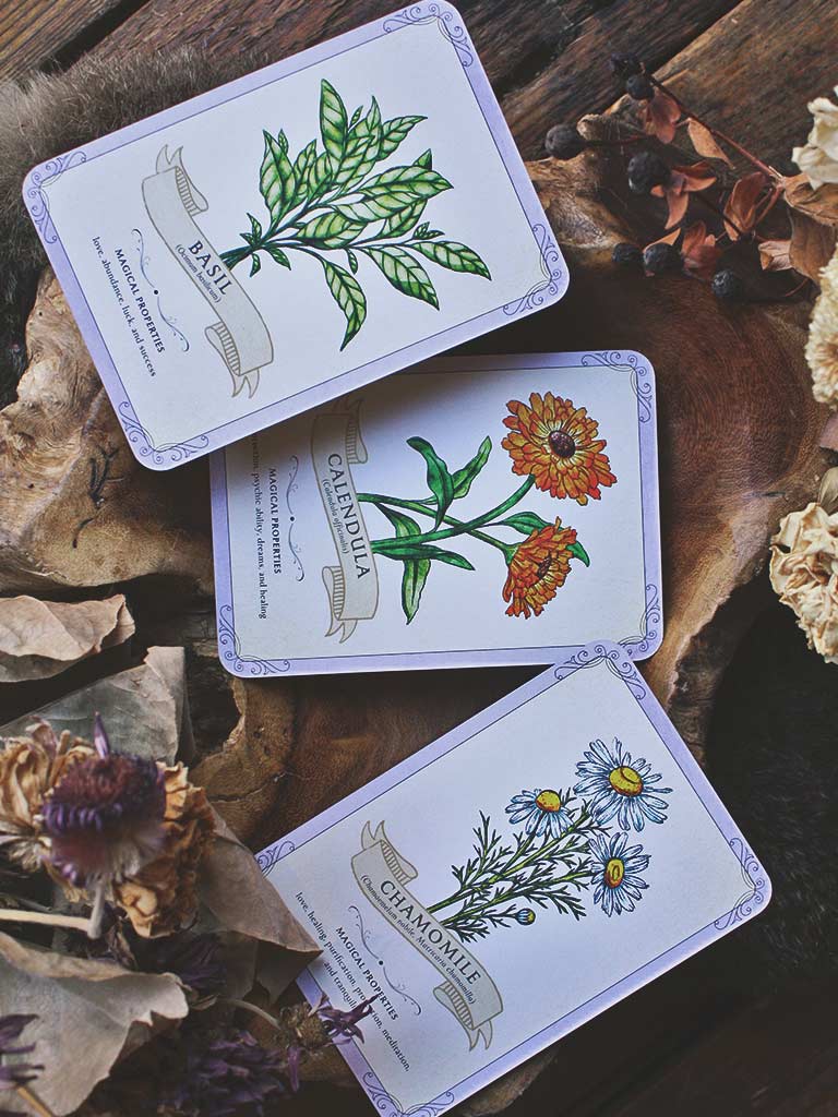 The Green Witch's Deck of Magical Herbalism - 50 of the Most Magical Plants, Herbs, and Flowers to Empower Your Craft