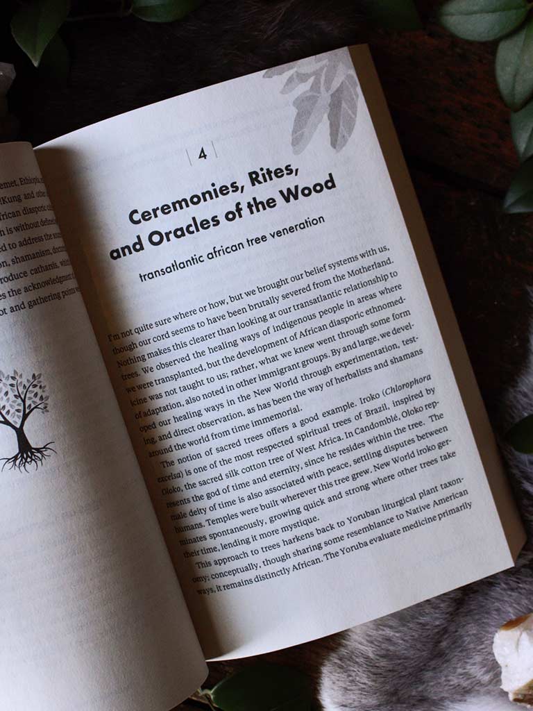 The Healing Tree - Botanicals, Remedies, and Rituals from African Folk Traditions