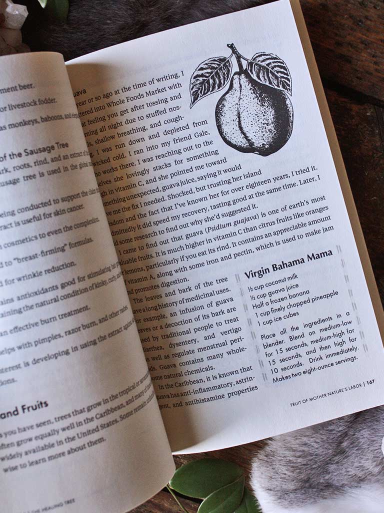 The Healing Tree - Botanicals, Remedies, and Rituals from African Folk Traditions