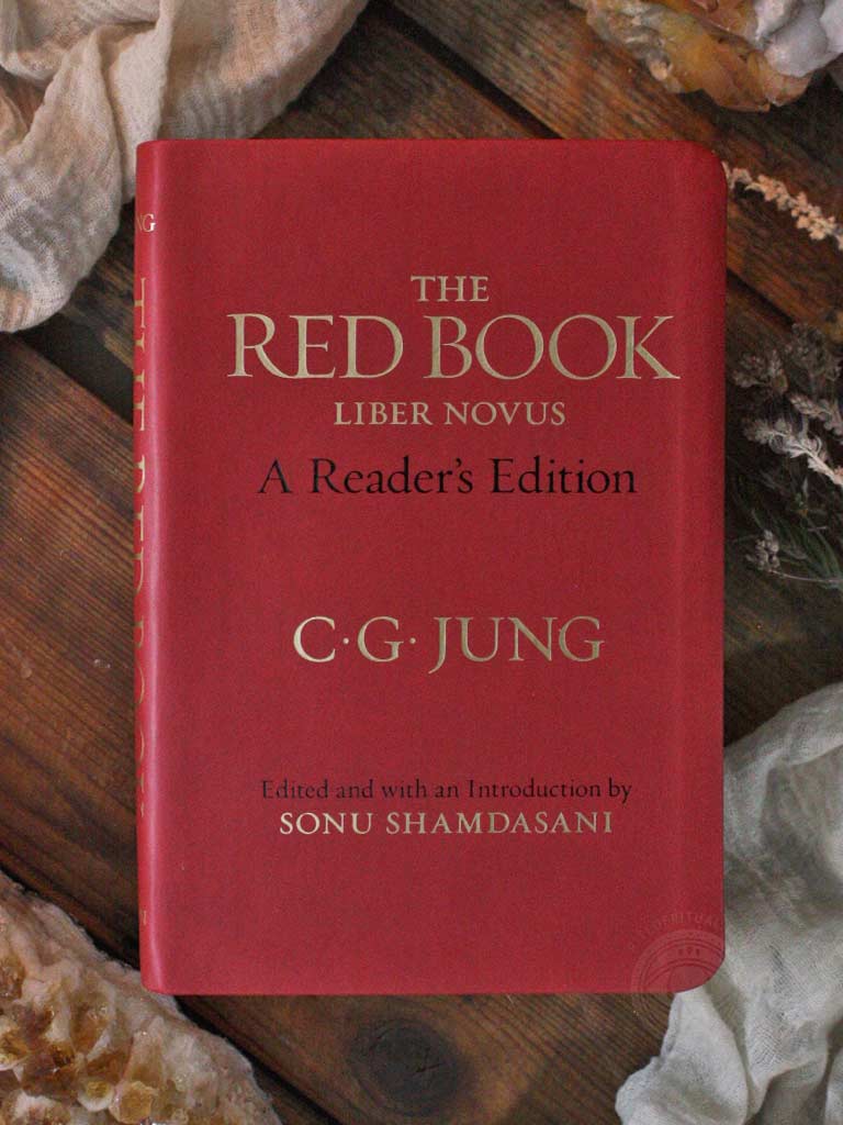 The Red Book Liber Novus by Carl Jung