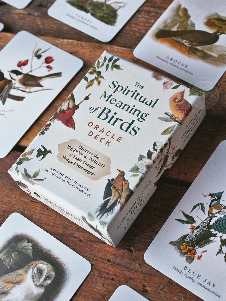 The Spiritual Meaning of Birds Oracle Deck