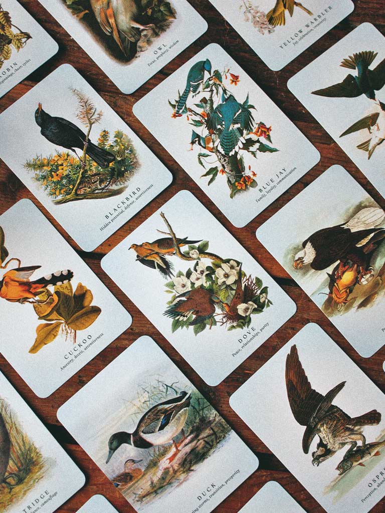The Spiritual Meaning of Birds Oracle Deck