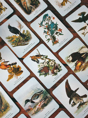 The Spiritual Meaning of Birds Oracle Deck