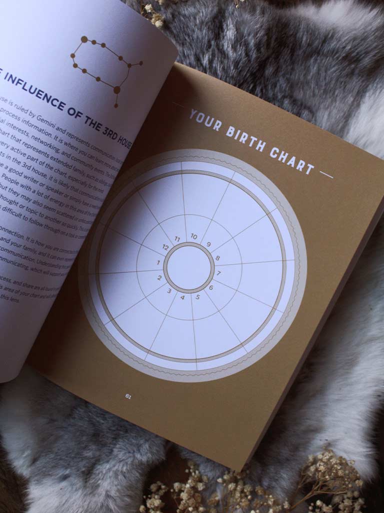 The Step-by-Step Astrology Workbook - What the Stars Want You to Know