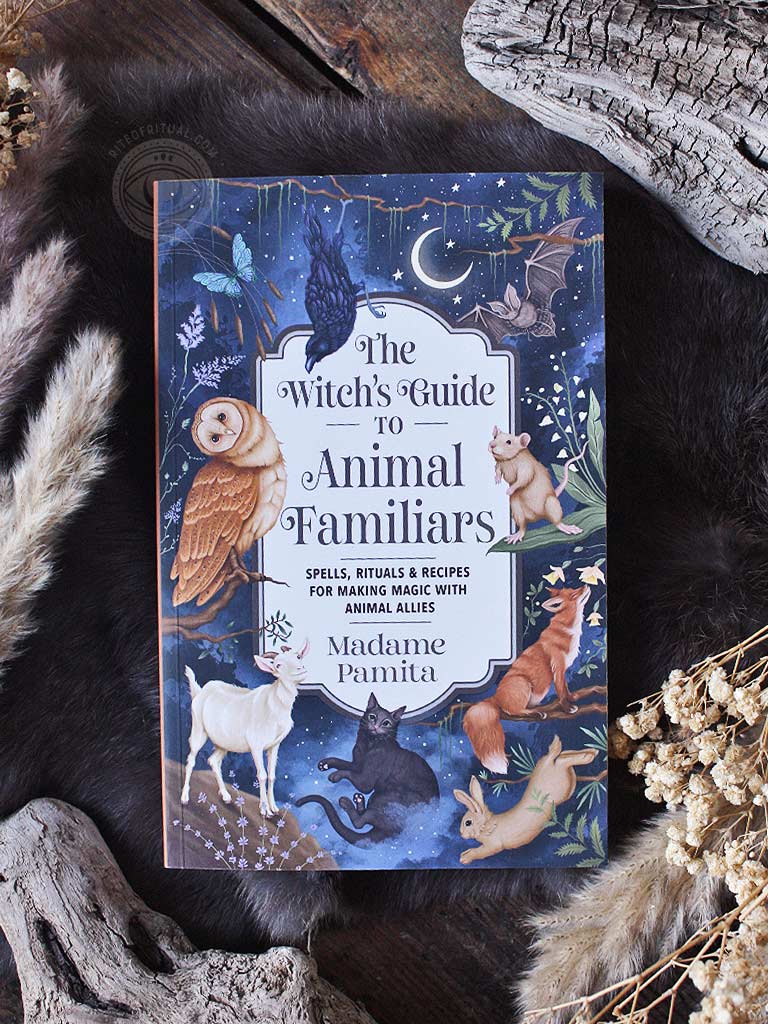The Witch's Guide to Animal Familiars