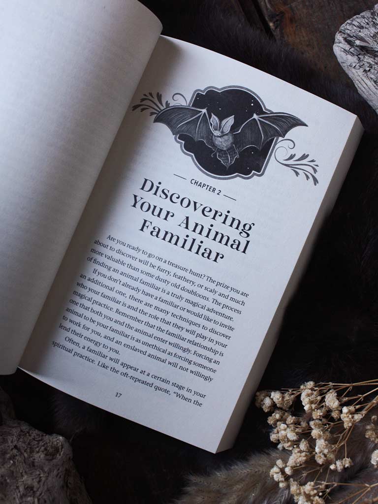 The Witch's Guide to Animal Familiars