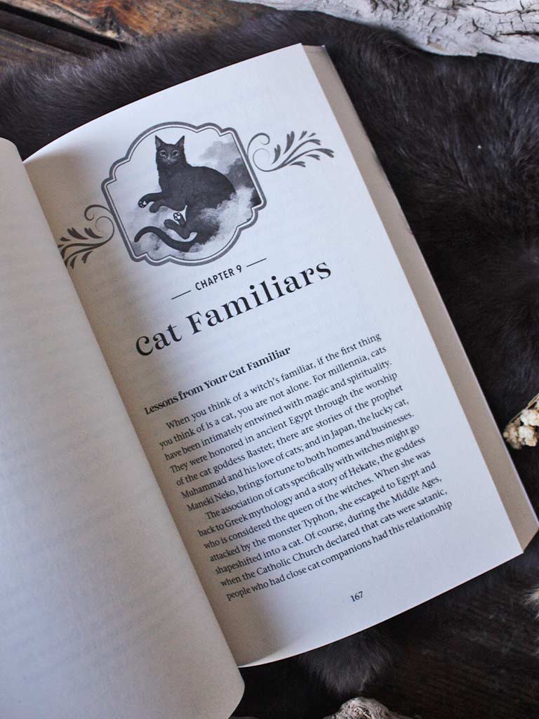 The Witch's Guide to Animal Familiars