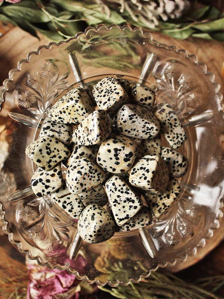 Tumbled Dalmatian Jasper