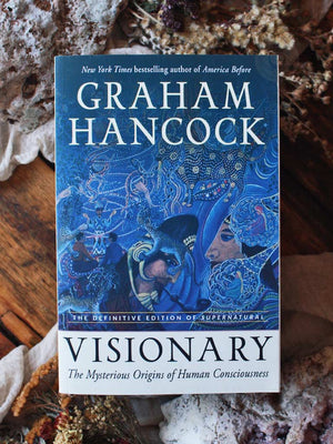 Visionary - The Mysterious Origins of Human Consciousness
