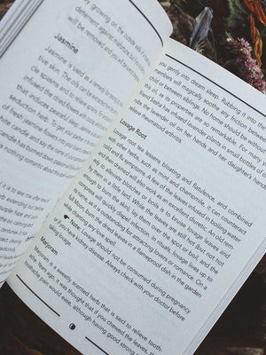 Witchcraft - Your Plain & Simple Guide