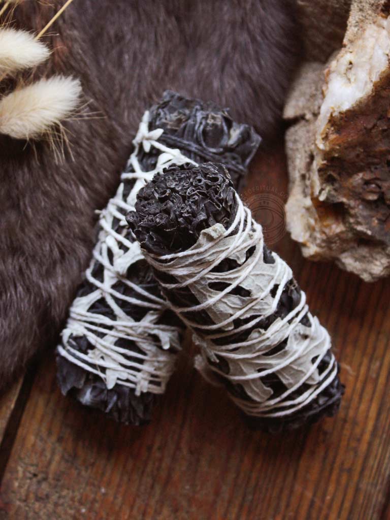 Yin & Yang Black Coated White Sage & Mugwort