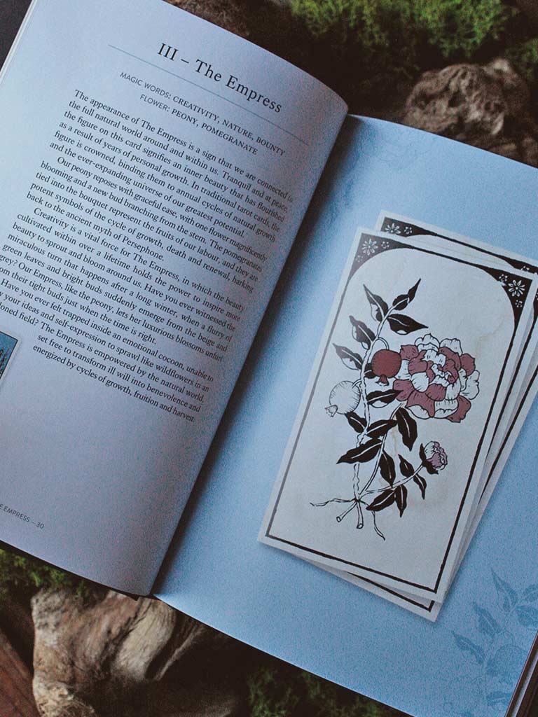 You Will Be Able to Read Tarot by the End of This Book