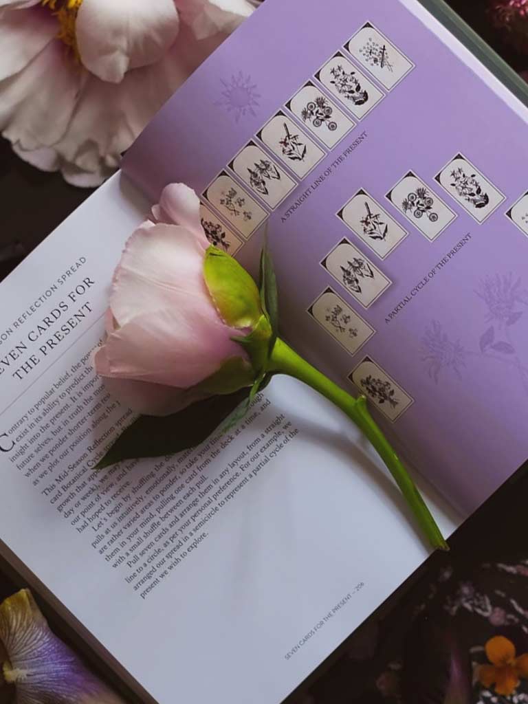 You Will Be Able to Read Tarot by the End of This Book