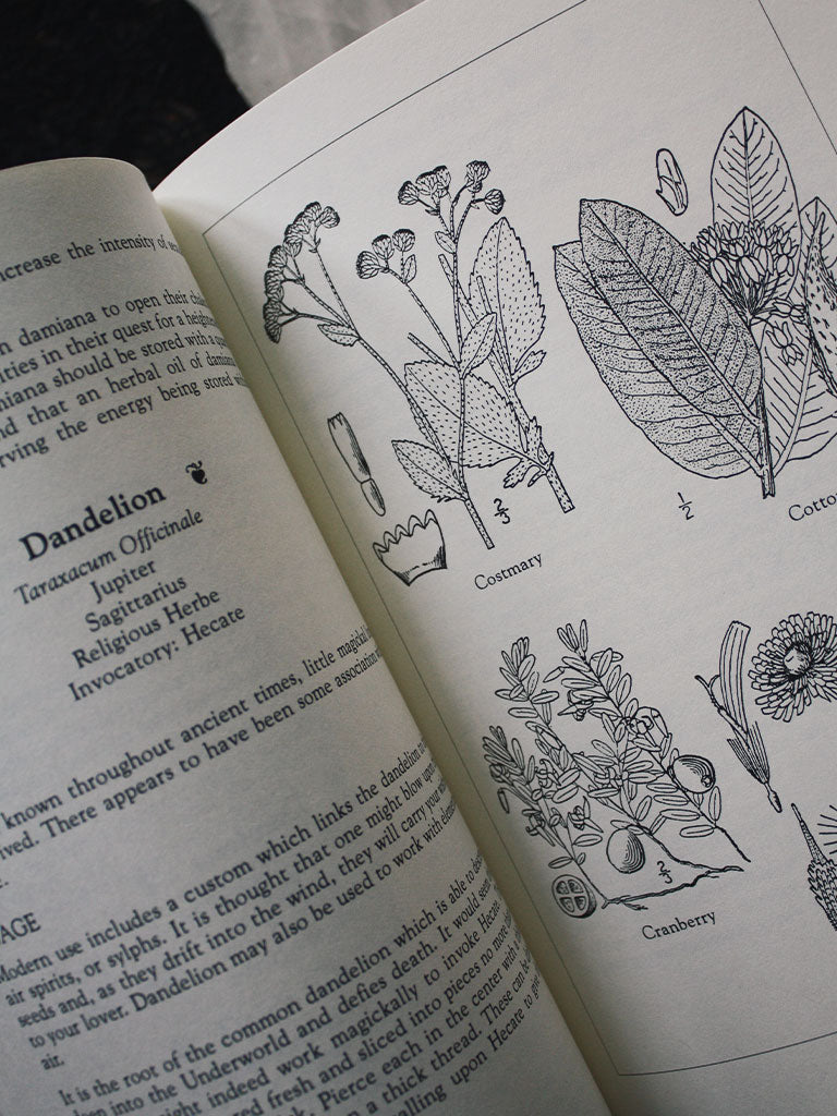 A Compendium of Herbal Magic