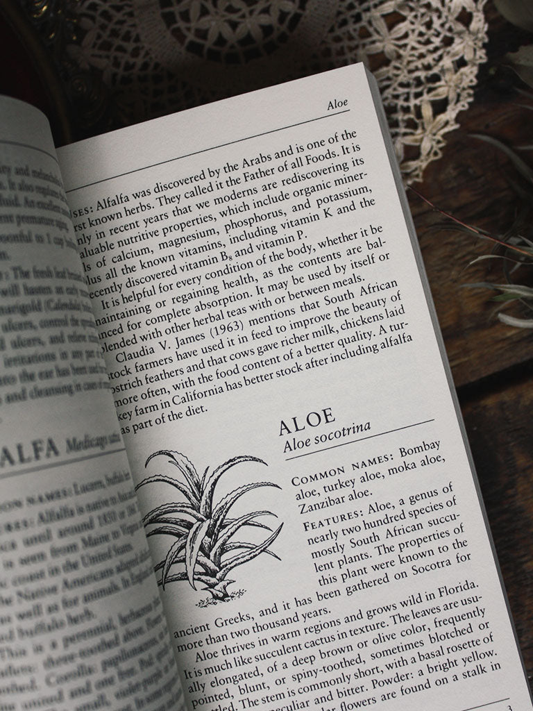 A Handbook of Native American Herbs