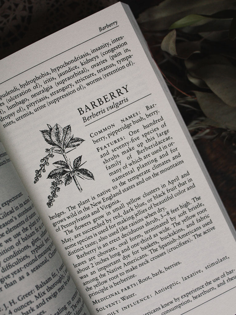 A Handbook of Native American Herbs