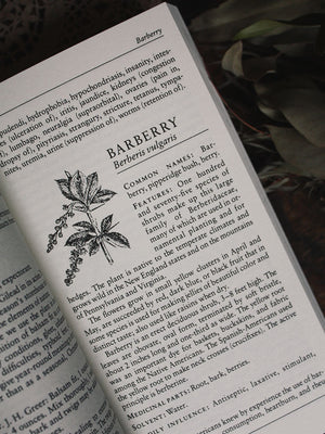 A Handbook of Native American Herbs