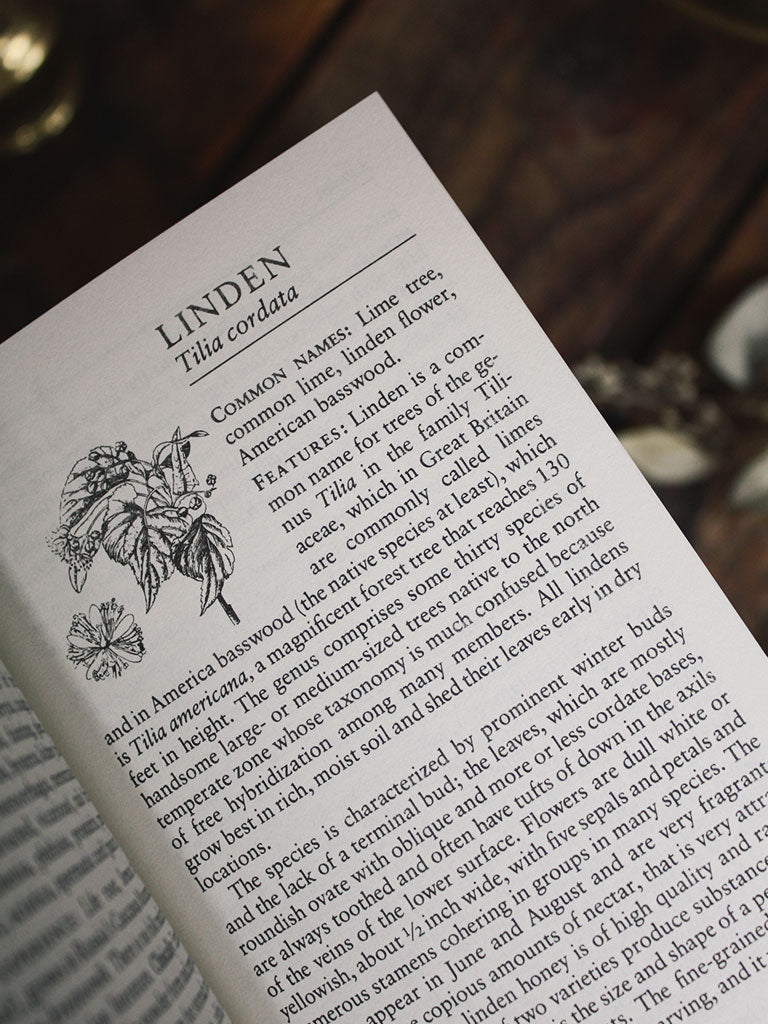 A Handbook of Native American Herbs