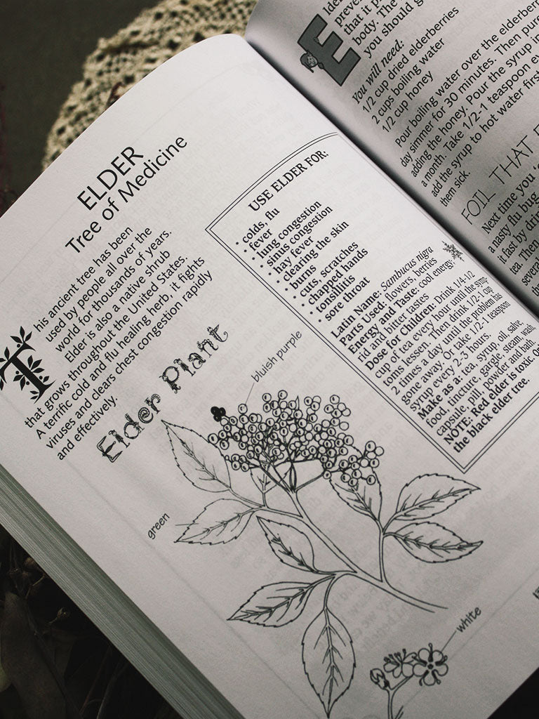 A Kid's Herb Book