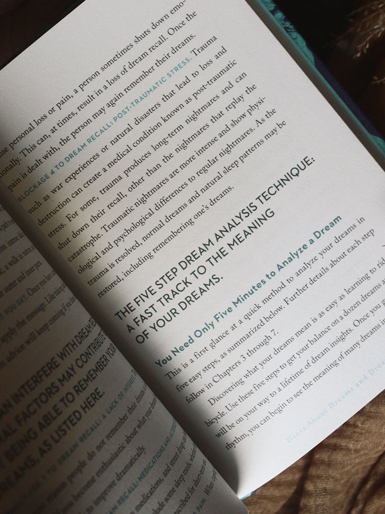 A Little Bit of Dreams