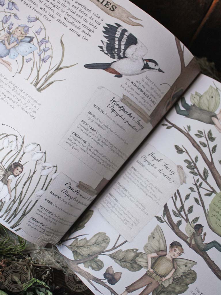 A Natural History of Fairies