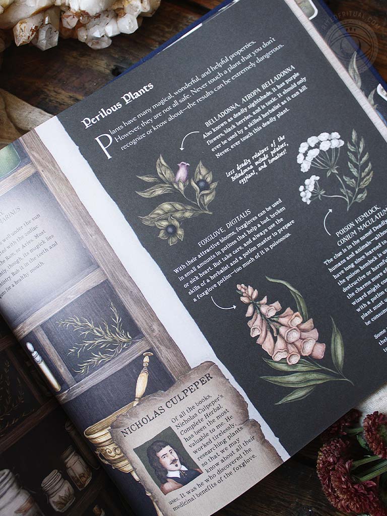 A Natural History of Magick