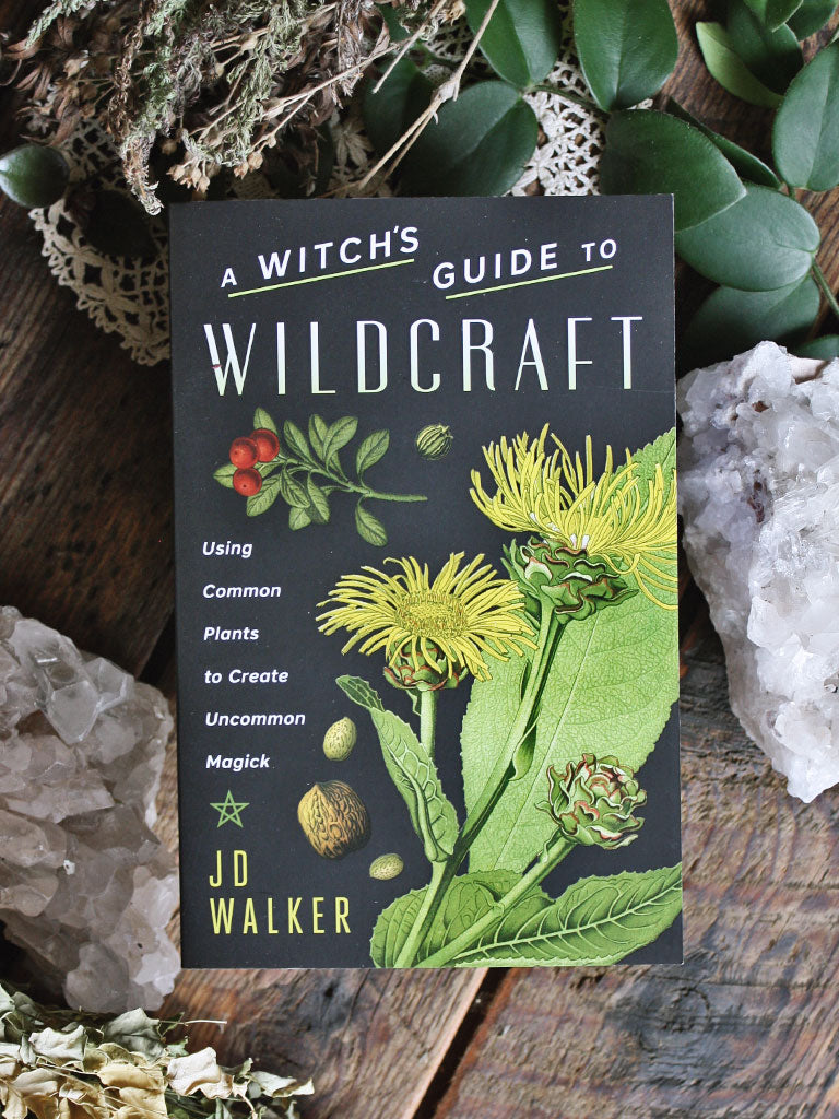 A Witch's Guide to Wildcraft