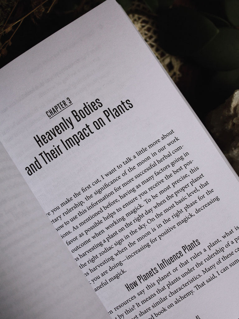 A Witch's Guide to Wildcraft