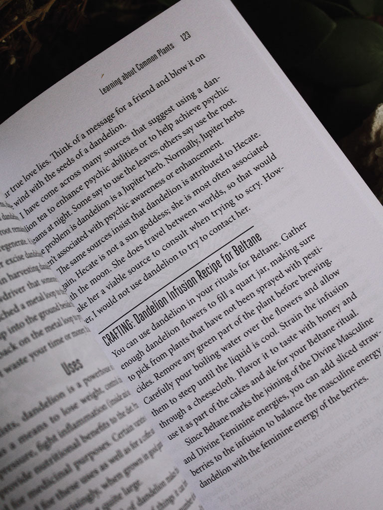 A Witch's Guide to Wildcraft