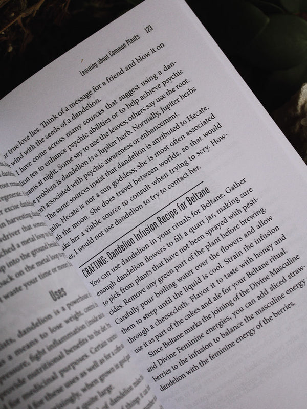 A Witch's Guide to Wildcraft Rite of Ritual