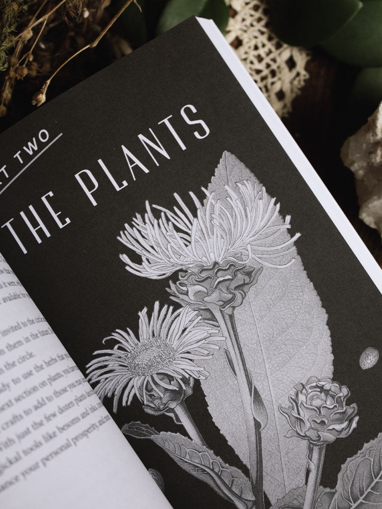 A Witch's Guide to Wildcraft