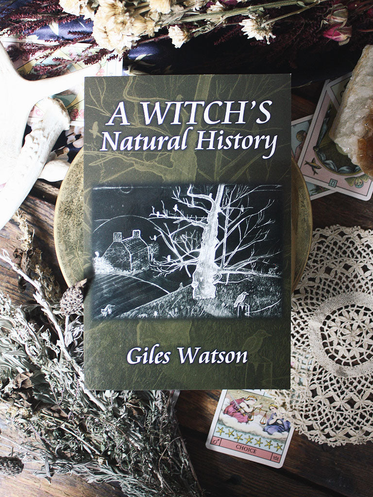 A Witch's Natural History