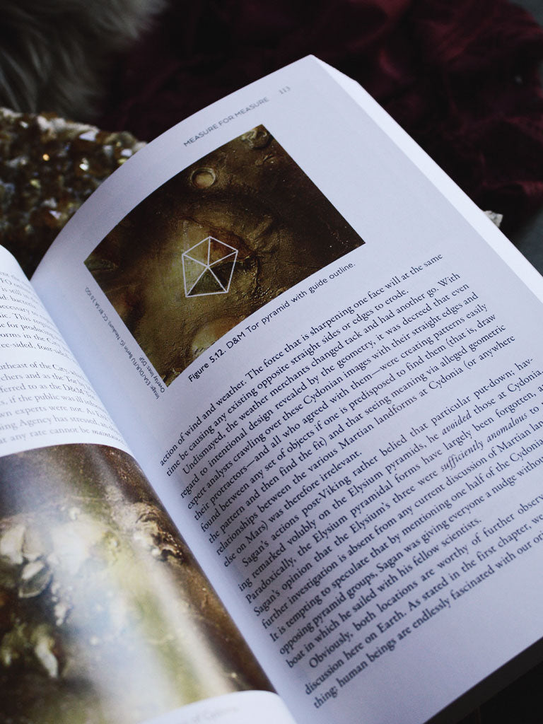 Alien Intelligence and the Pathway to Mars