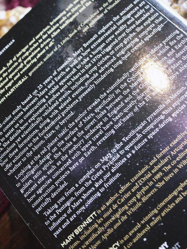 Alien Intelligence and the Pathway to Mars