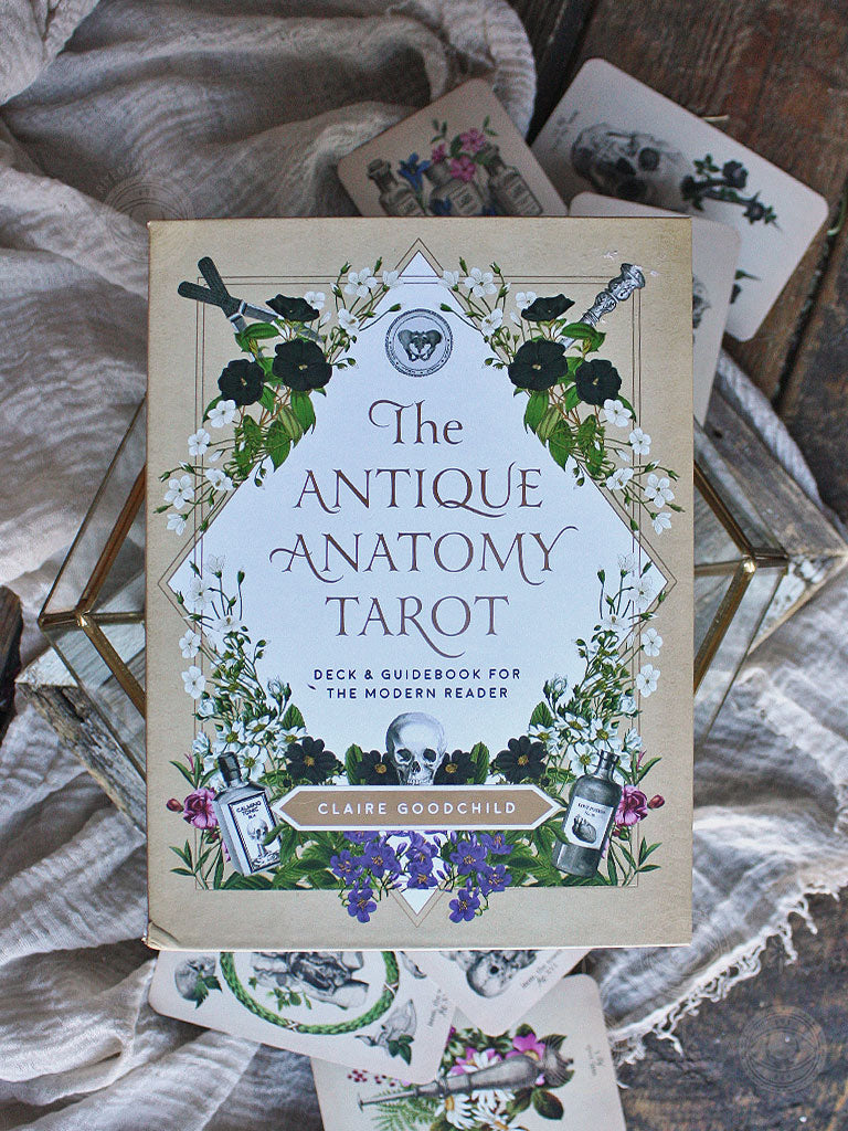 Antique Anatomy Tarot Kit