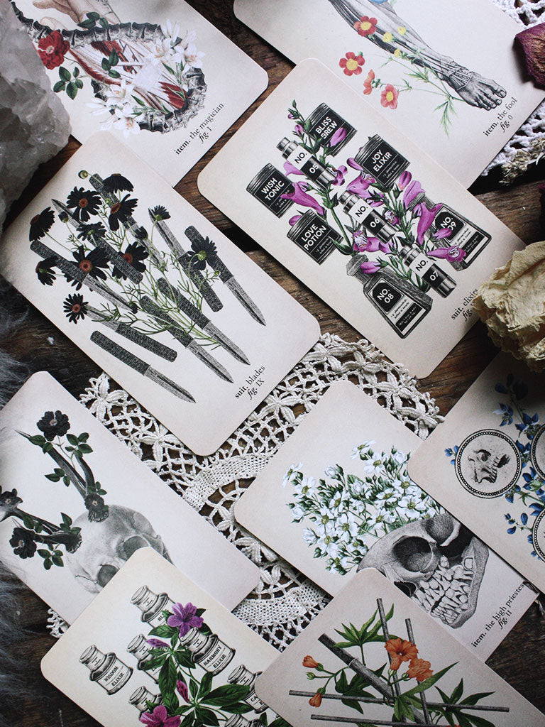 Antique Anatomy Tarot Kit