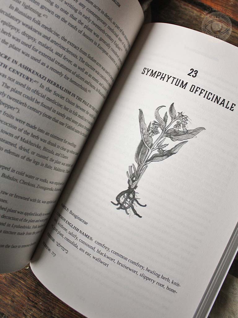 Ashkenazi Herbalism - Rediscovering the Herbal Traditions of Eastern European Jews