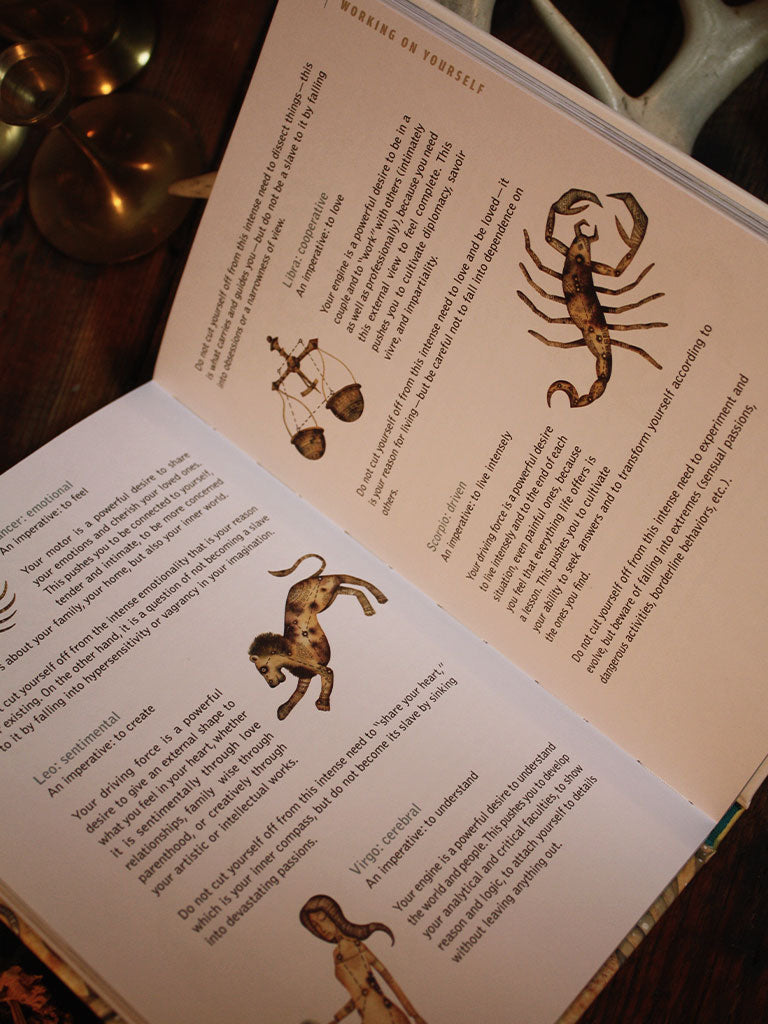 Astrotherapy - Discover How to Live Better and Move Forward in Life with Your Astral Theme