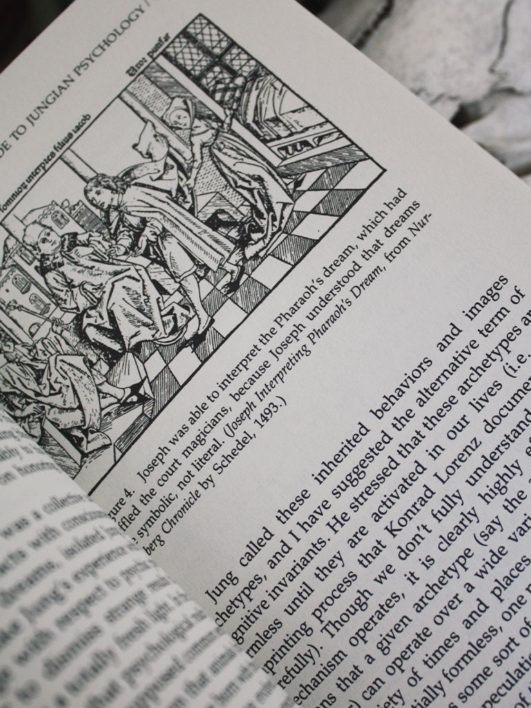 Beginners Guide to Jungian Psychology