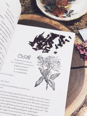 Hearth Witch’s Kitchen Herbal Book