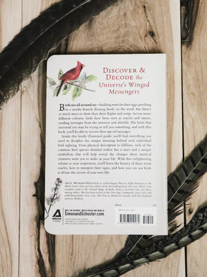 Hidden Meaning of Birds Book