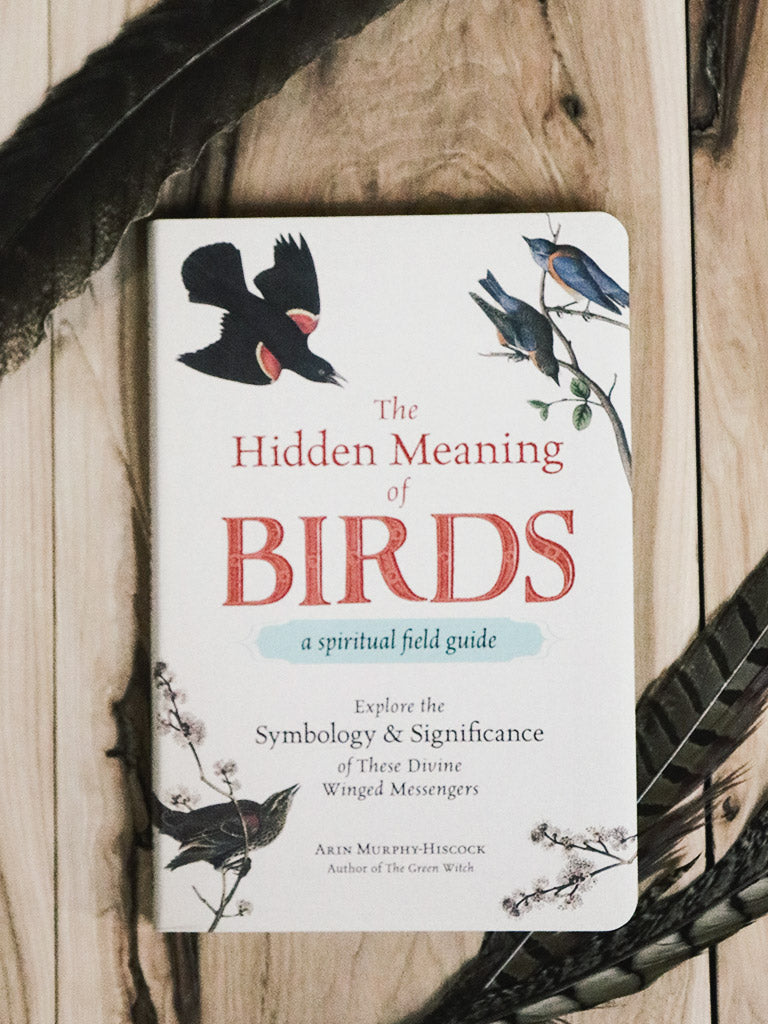 Hidden Meaning of Birds Book